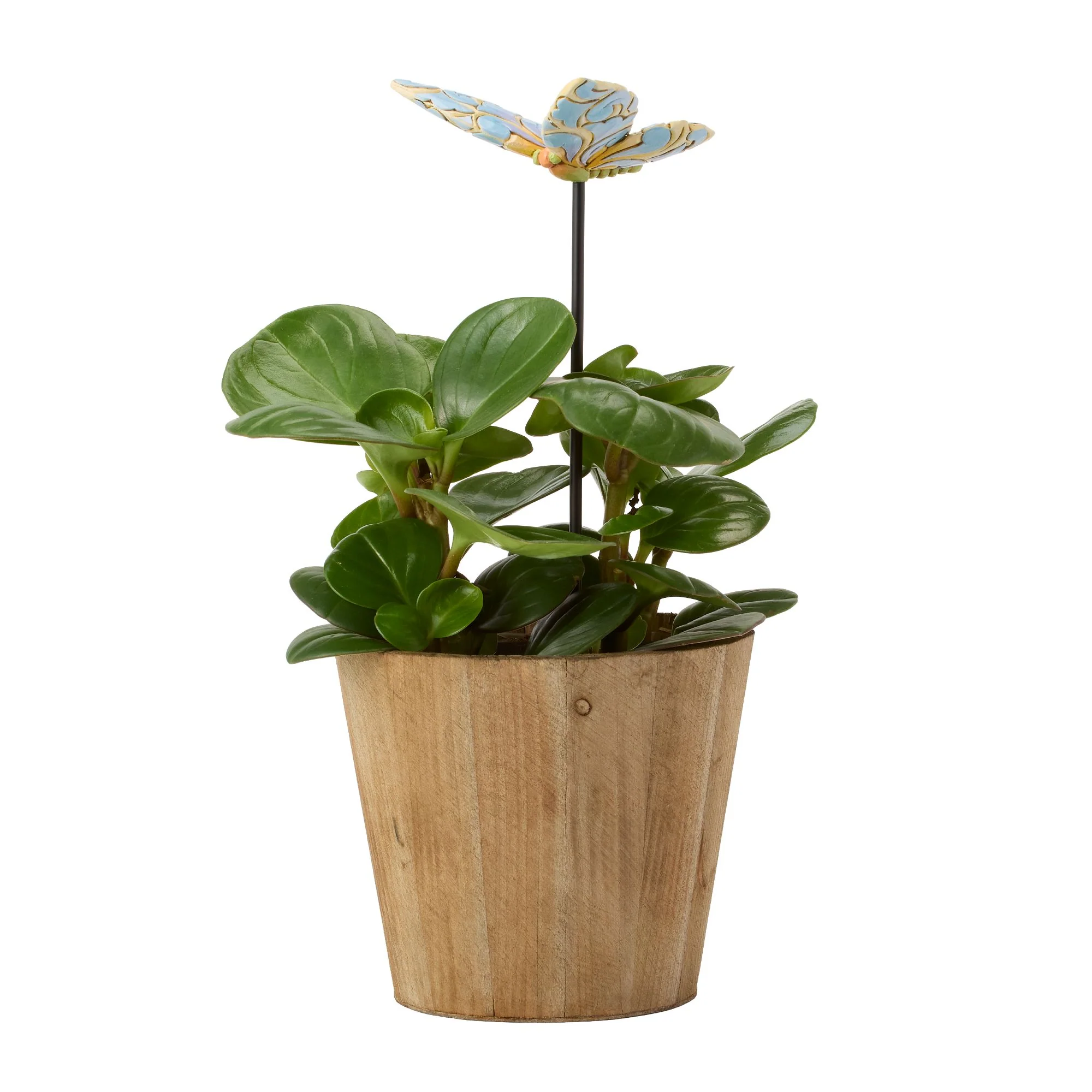 Plant Stake Butterfly - Image 8