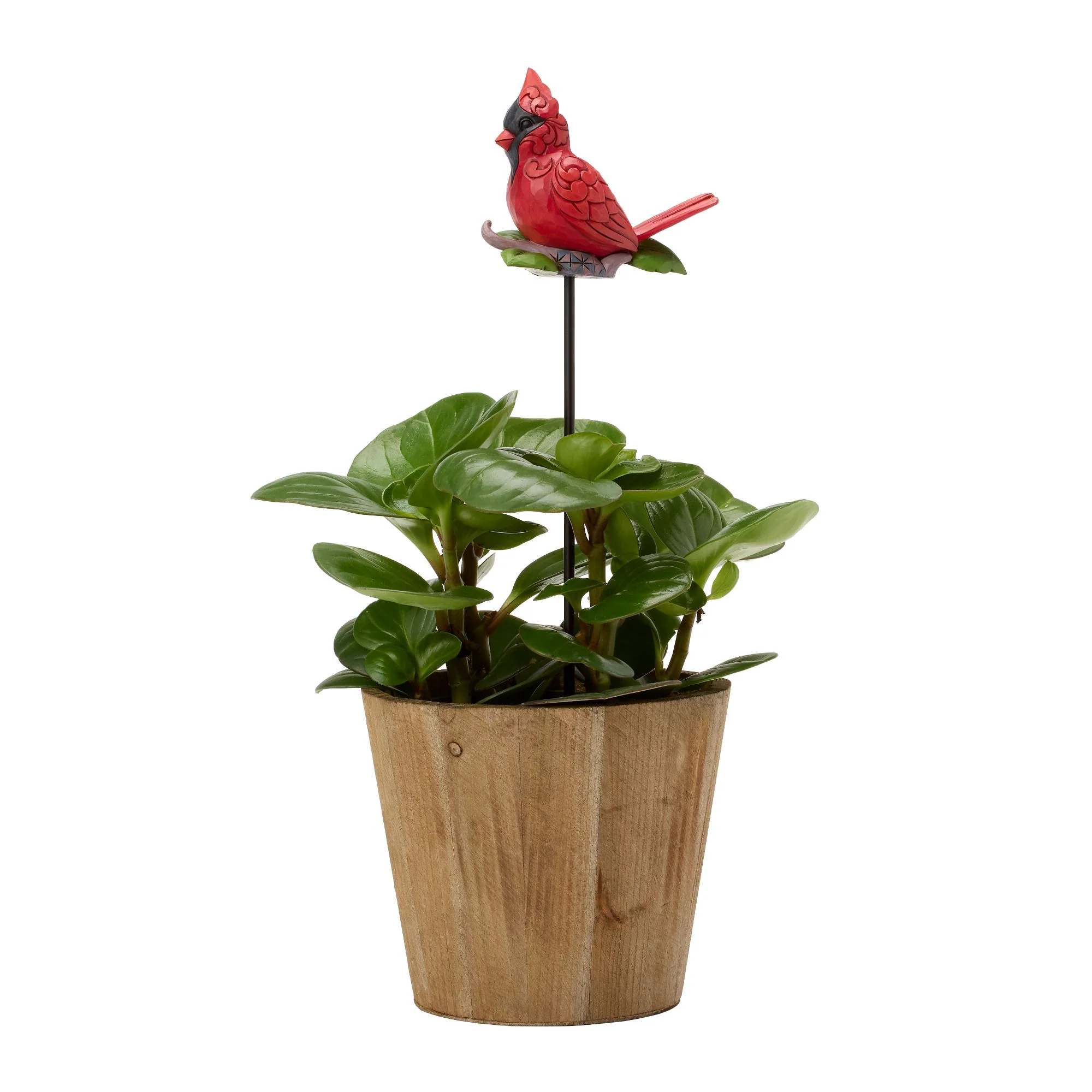 Plant Stake Cardinal - Image 7
