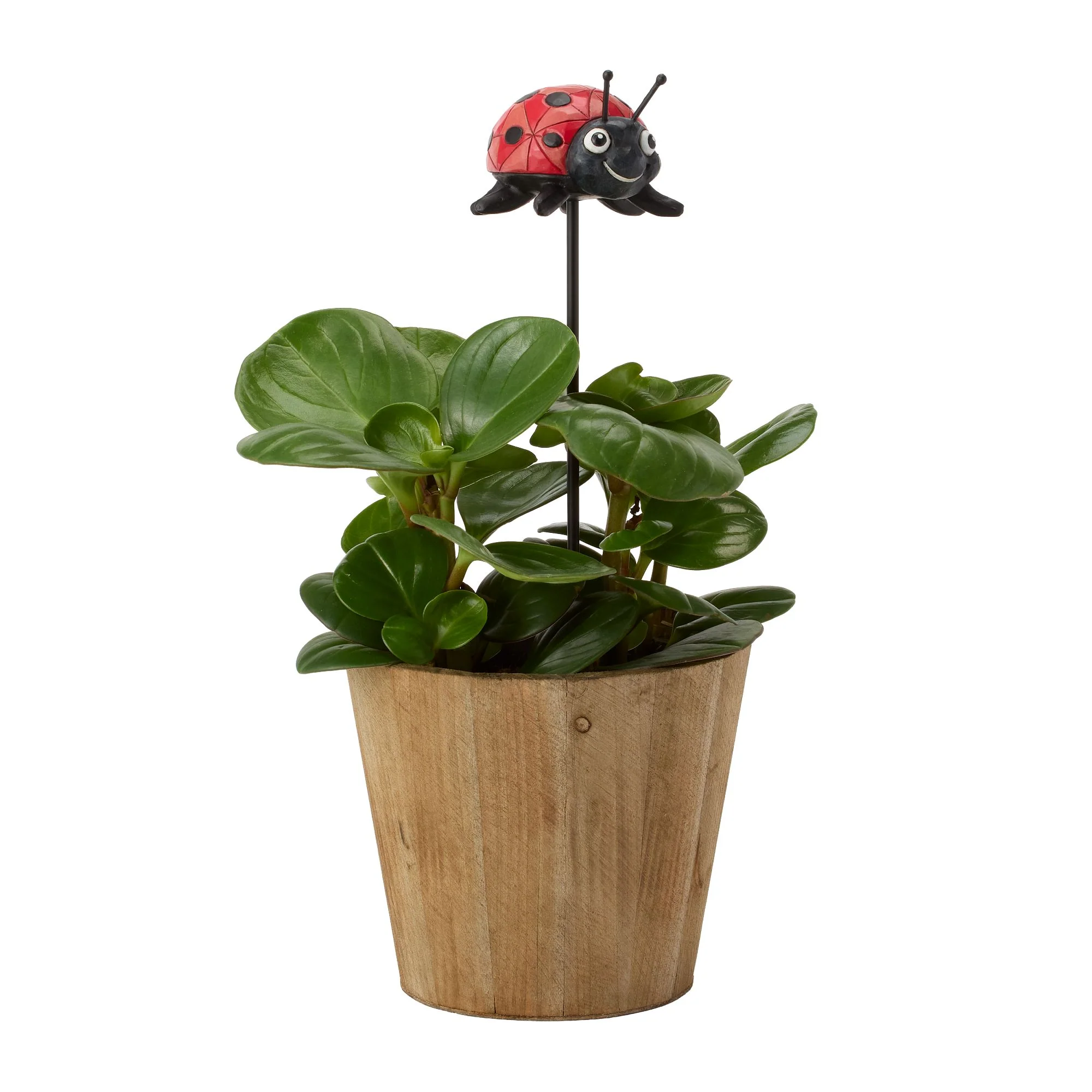 Plant Stake Ladybug - Image 7