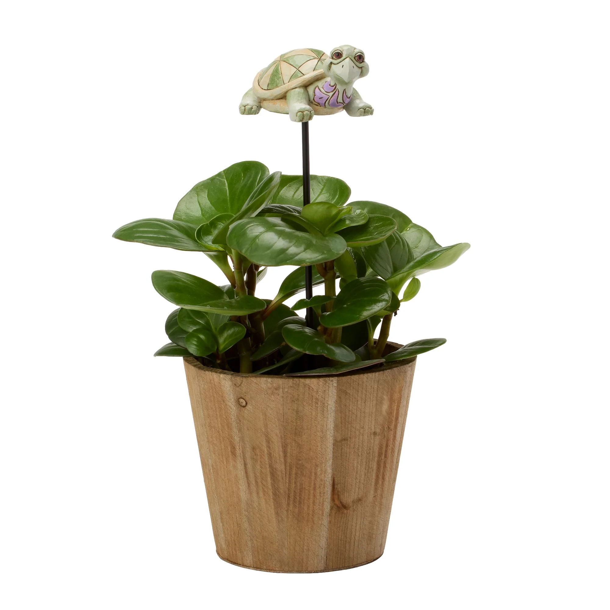 Plant Stake Turtle - Image 9